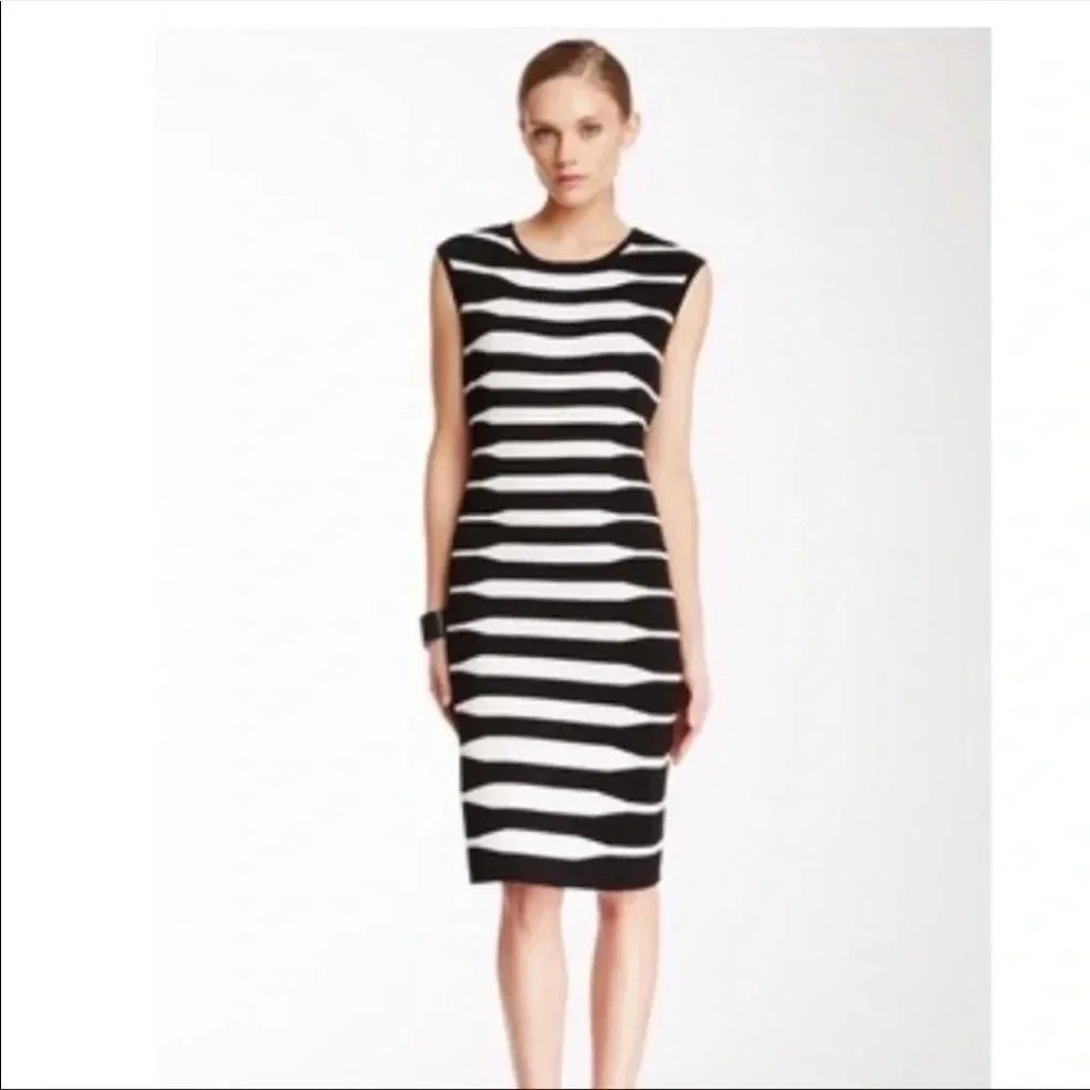 NWOT Calvin Klein Stripes Dress